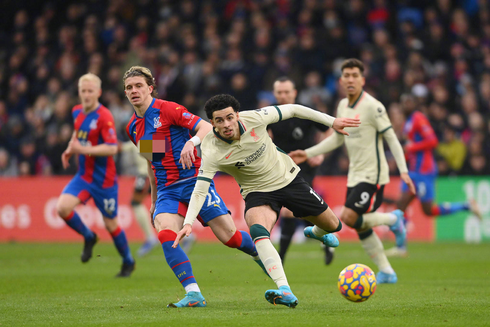 了比赛的体 了比赛的体